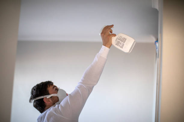 Best Local Mold Removal Service  in Sleepy Hollow, IL
